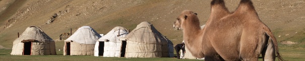 P8316446 Ta Rabat Yurts Bactrian camel