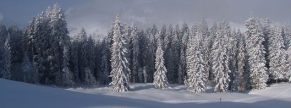 LU, Flühli, Salwidili, 1353 m