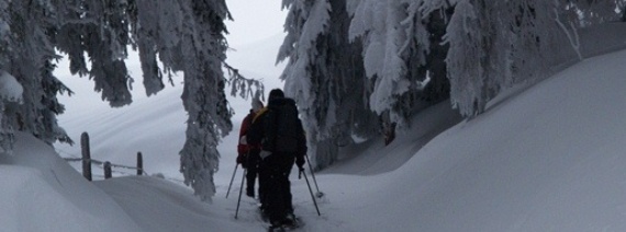 LU, Marbach, am Pfyffer, 1260 m