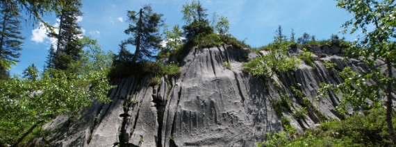 SZ, Bödmerenwald, Schrattenkalk, ca. 1500 m