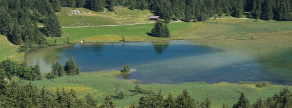 BE, Louwenesee, 1380 m