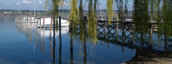 D, BW, Mittelzell, Gnadensee, 396 m