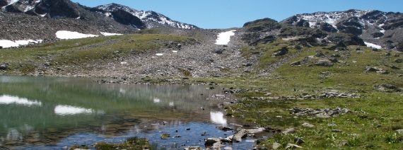 GR, Macun, ca. 2630 m